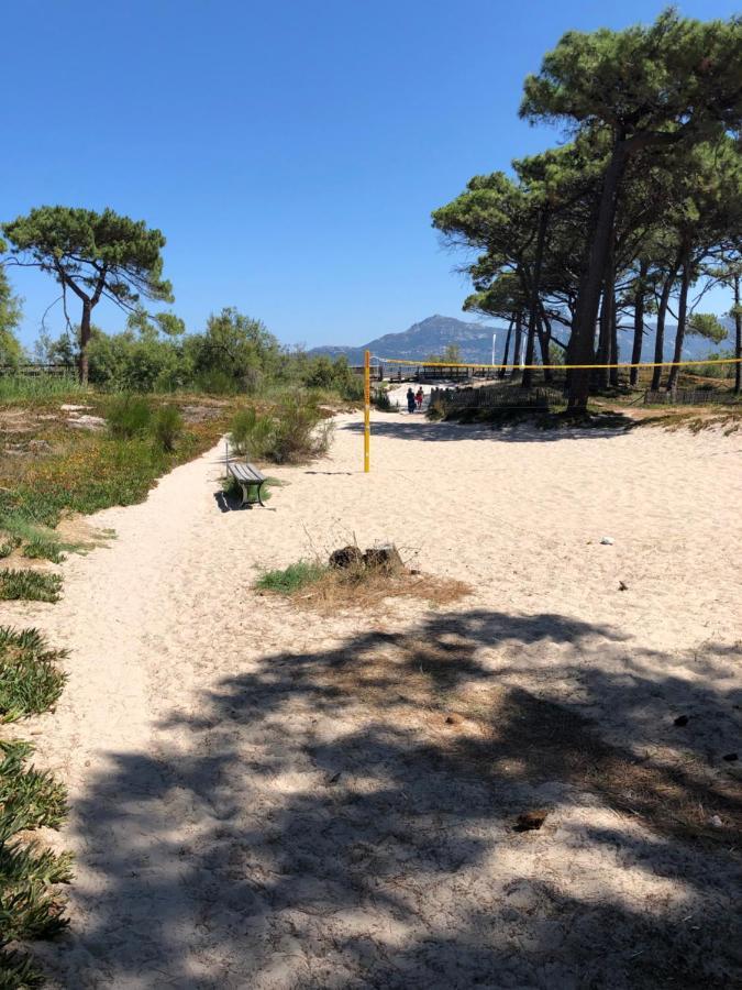 Duplex Renove Les Pieds Dans L'Eau Apartment Calvi  Luaran gambar